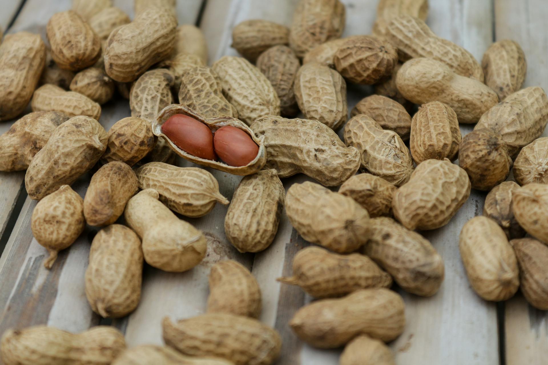 Food Allergy Myths